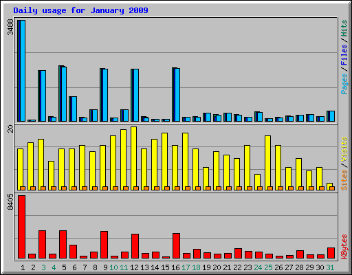 Daily usage for January 2009